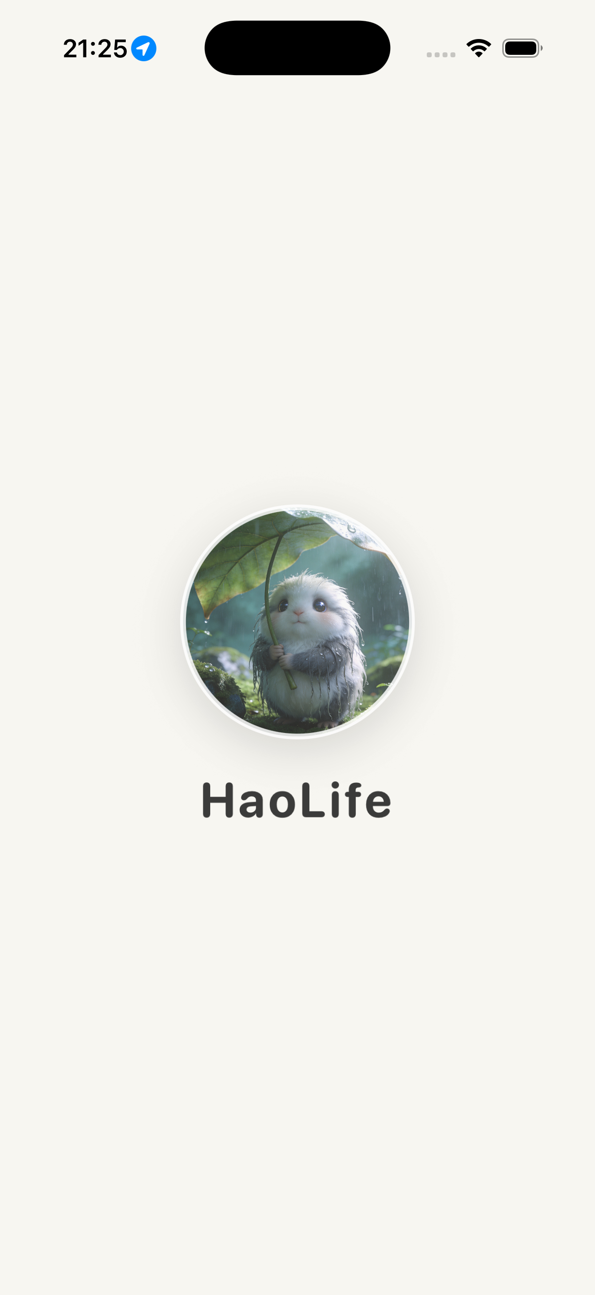 HaoLife English entry screen